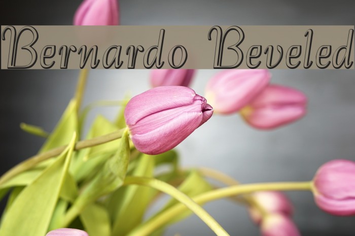 Bernardo Beveled Font examples
