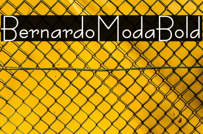 BernardoModaBold Example 1
