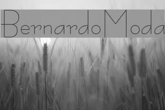 BernardoModa Font examples