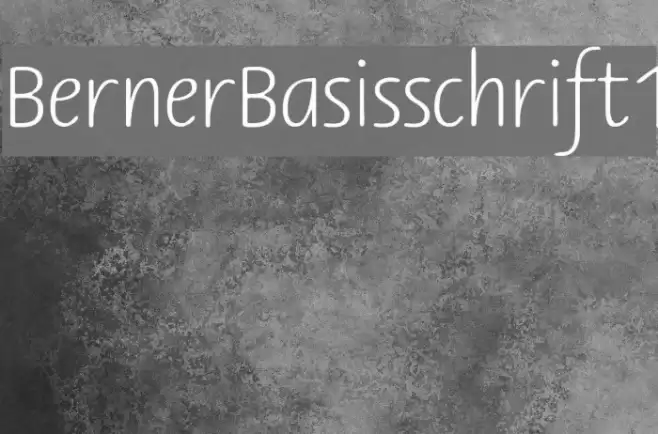 BernerBasisschrift1 Font examples