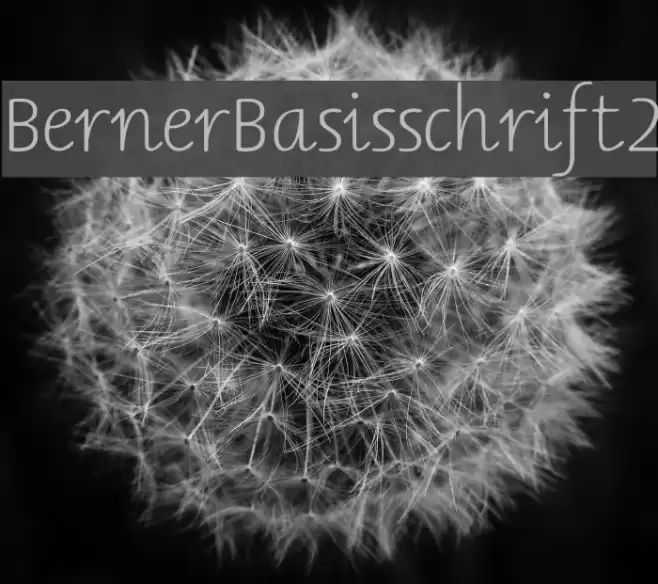 BernerBasisschrift2 Font examples
