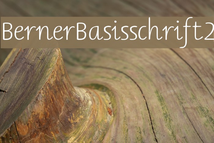 BernerBasisschrift2 Font examples