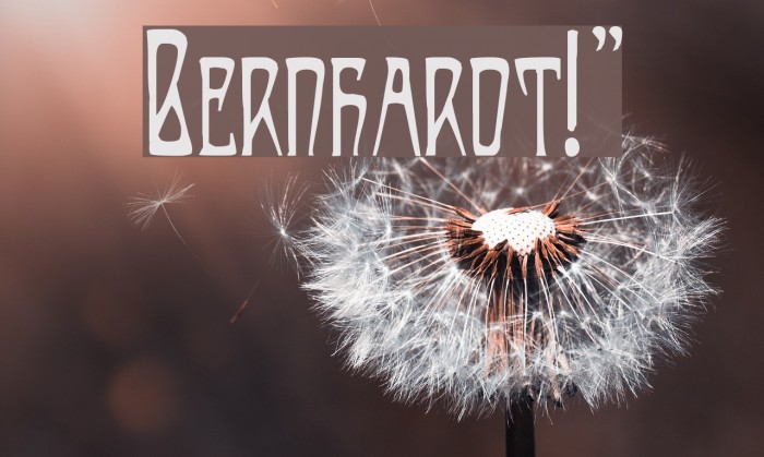 Bernhardt!` Font examples