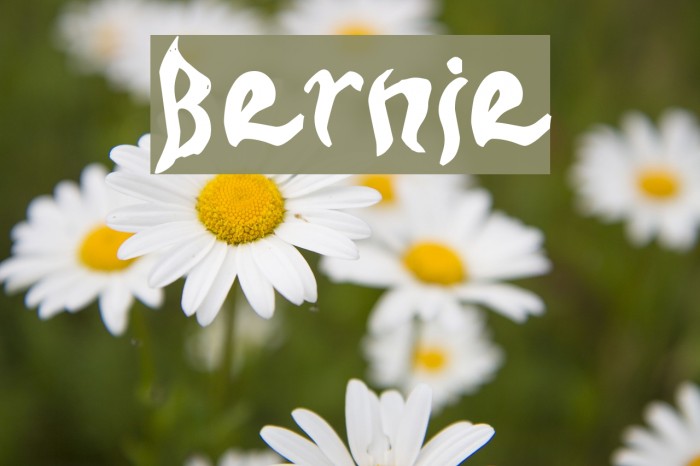 Bernie Font examples