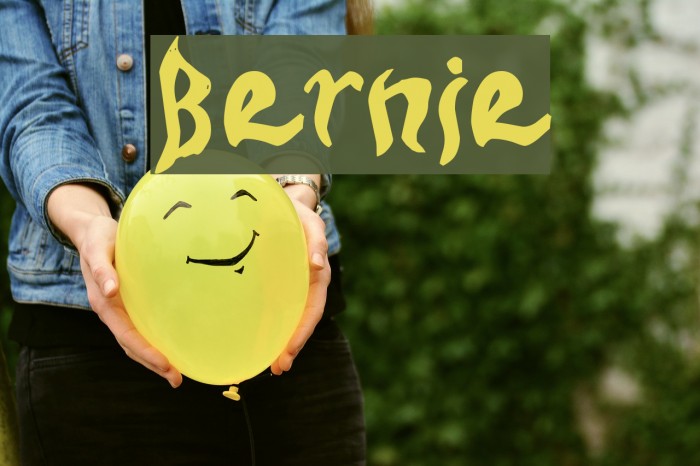 Bernie Font examples