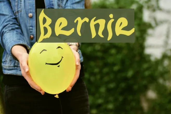 Bernie Example 3
