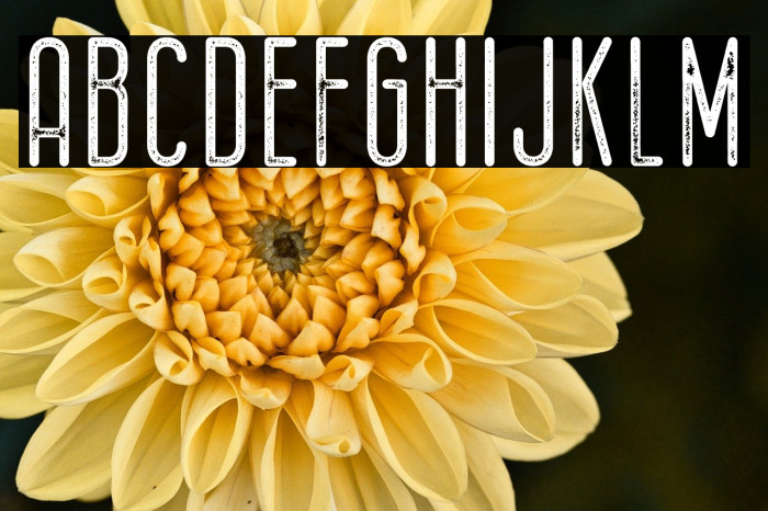 Bernound Rough Example 1