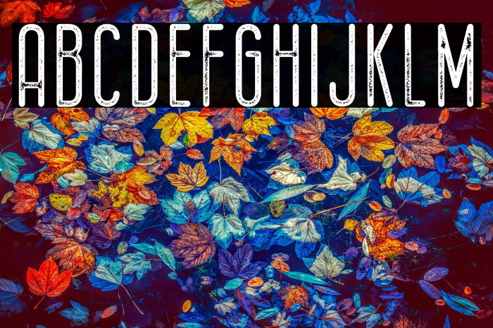 Bernound Rough Example 3