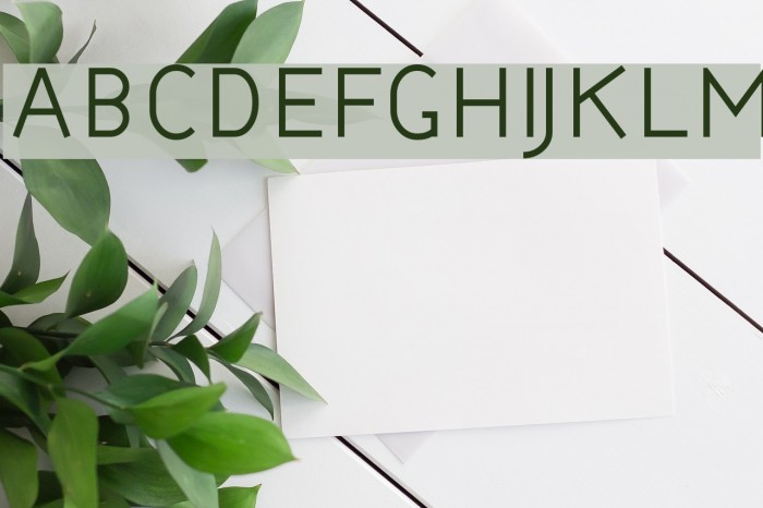 Bernur Normal Font examples