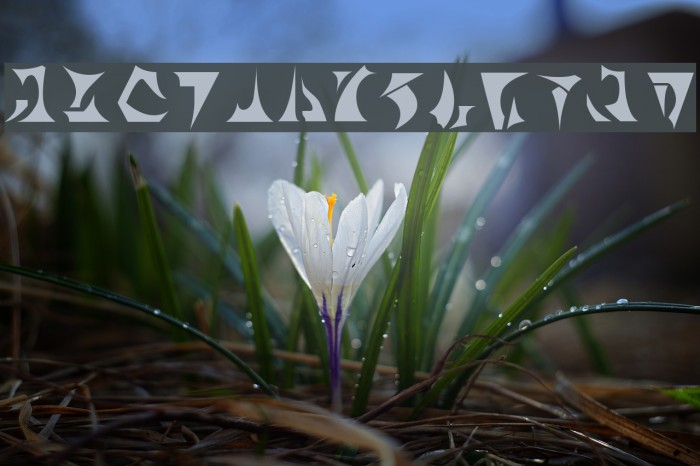 BernyKlingon Font examples