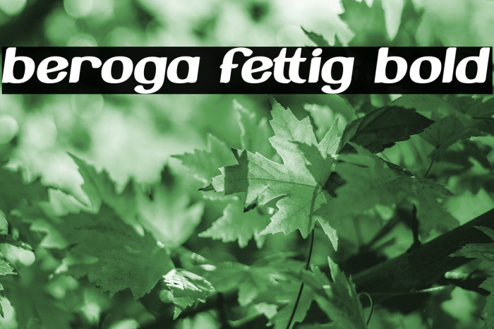 Beroga Fettig Bold Font examples