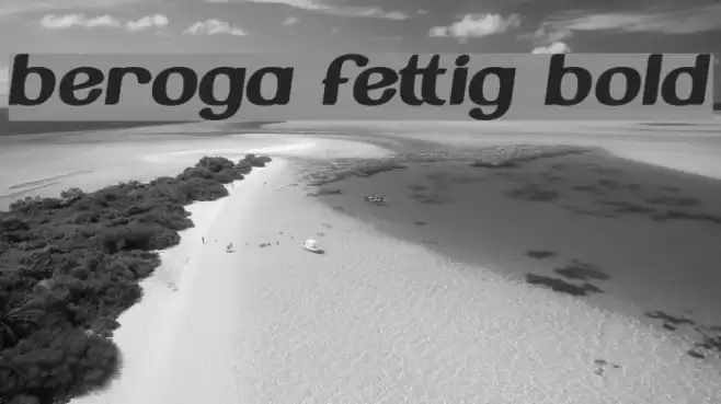 Beroga Fettig Bold Font examples