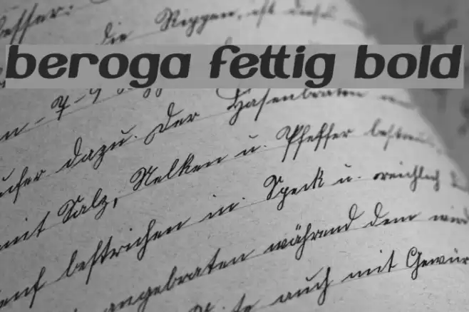 Beroga Fettig Bold Font examples