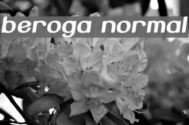 Beroga Normal خط examples