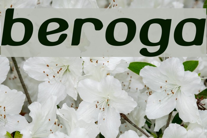 Beroga Font examples