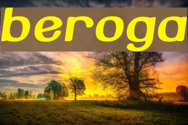 Beroga Example 3