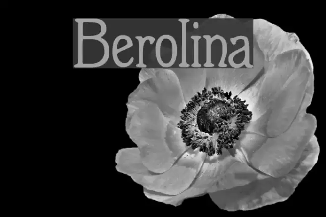Berolina Font examples