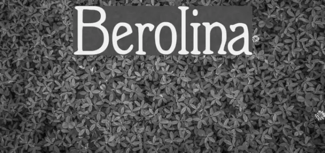 Berolina Font examples