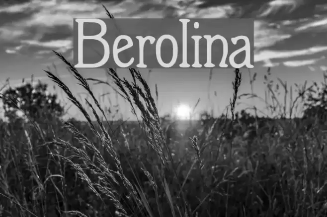 Berolina Font examples