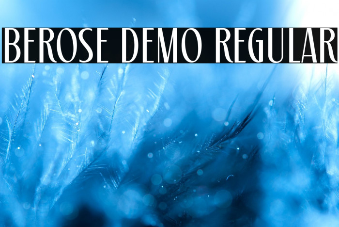 Berose Demo Regular Example 1