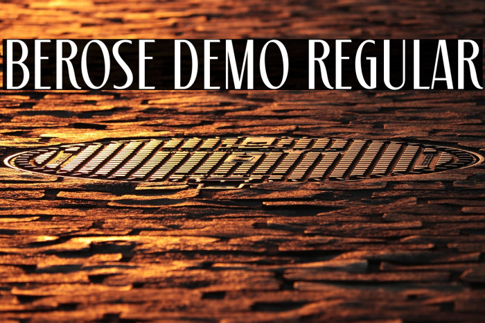 Berose Demo Regular Example 2