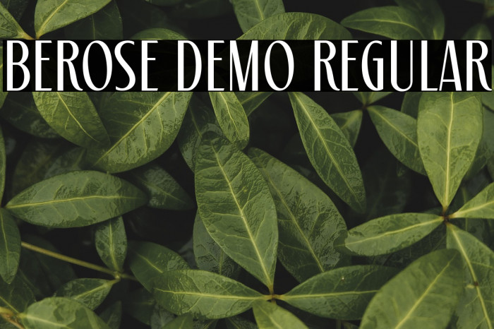 Berose Demo Regular Example 3