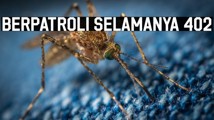 Berpatroli Selamanya 402 Example 3