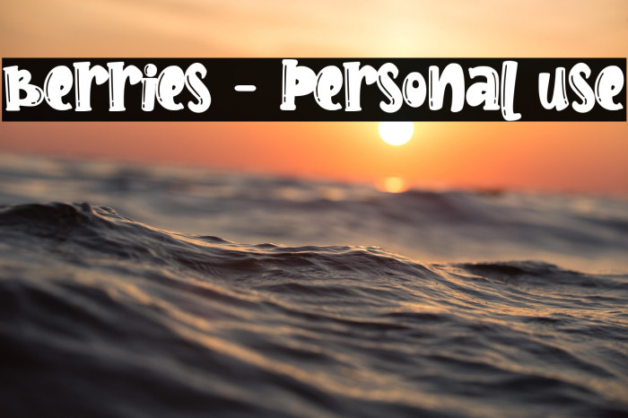 Berries - Personal use Example 1