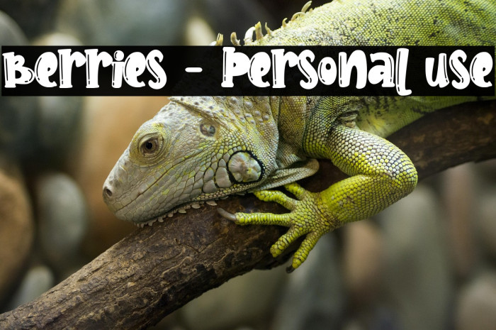 Berries - Personal use Example 3