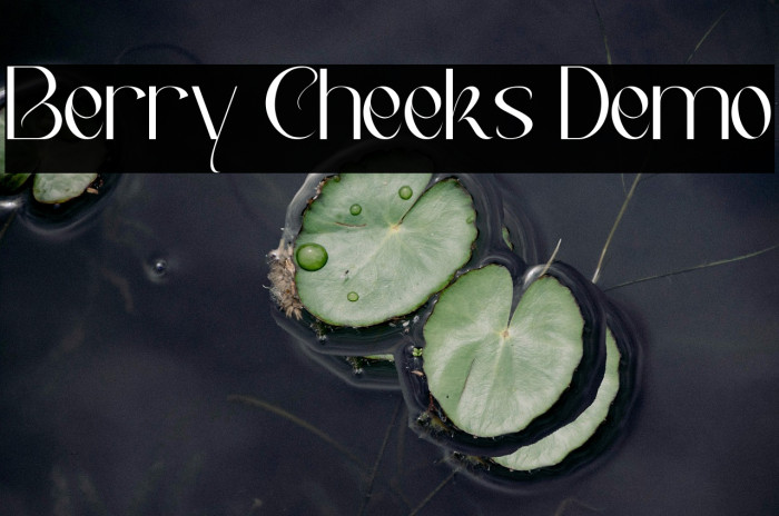 Berry Cheeks Demo Example 1