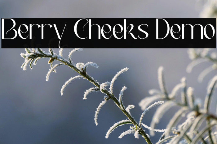 Berry Cheeks Demo Example 2