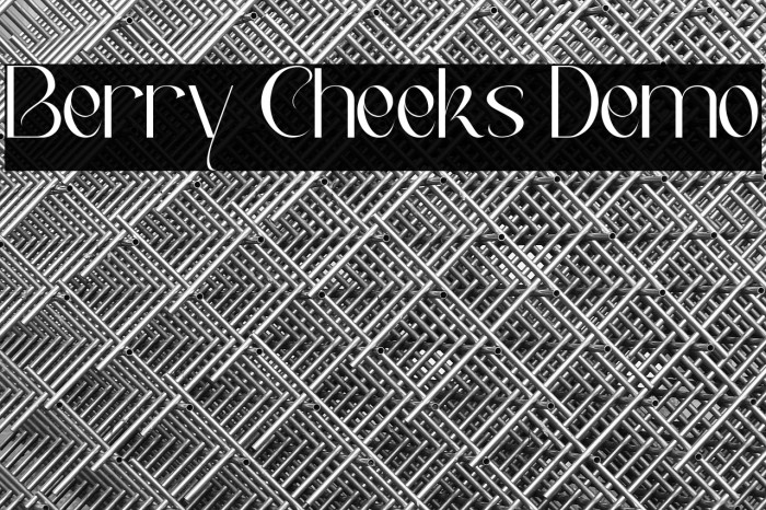 Berry Cheeks Demo Example 3