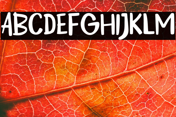 Berry Days Example 3