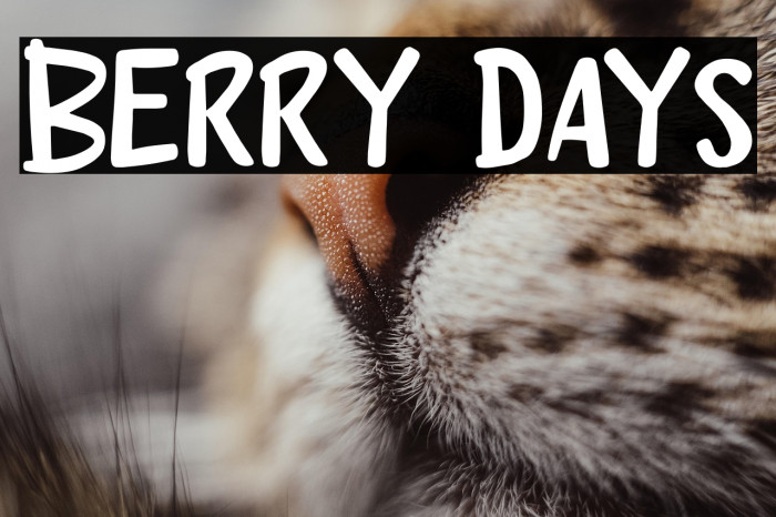 Berry Days Example 1