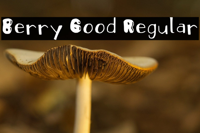 Berry Good Regular Example 2