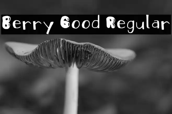 Berry Good Regular 字体 examples