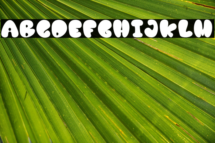 Berry Juice PERSONAL USE ONLY! Example 1