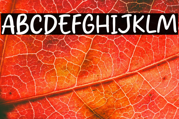 Berry Pearl Example 3