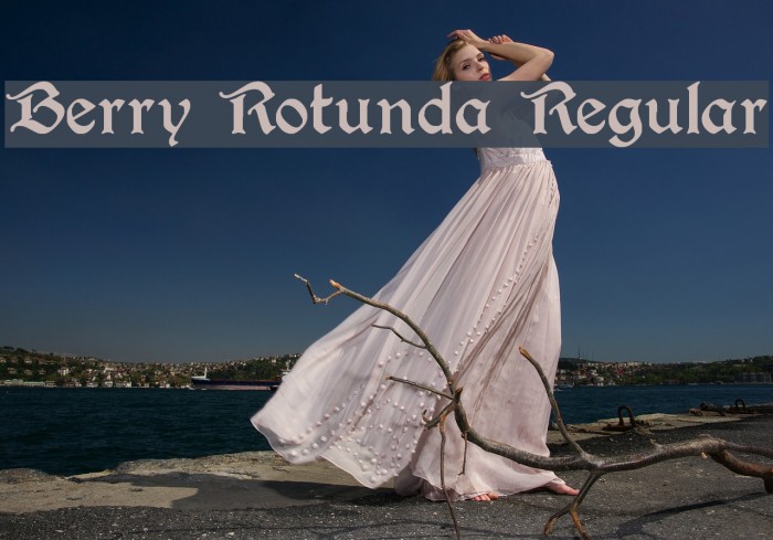 Berry Rotunda Regular フォント examples