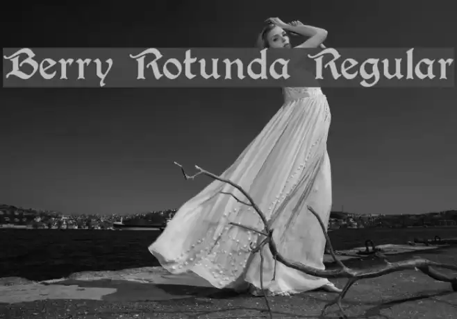 Berry Rotunda Regular フォント examples