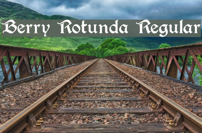 Berry Rotunda Regular フォント examples