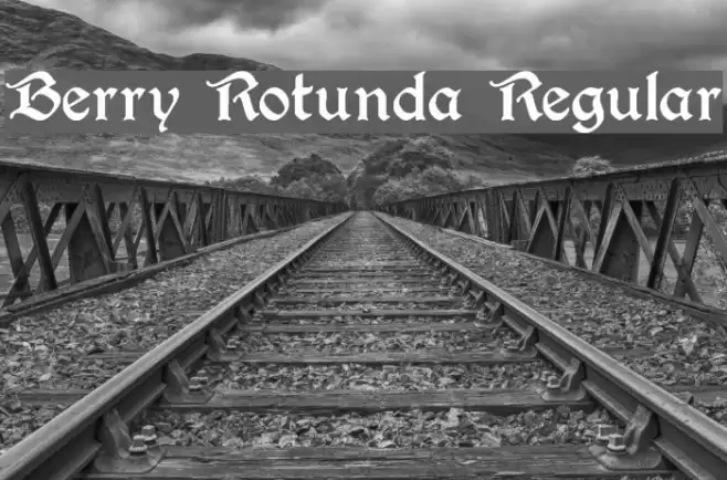 Berry Rotunda Regular フォント examples
