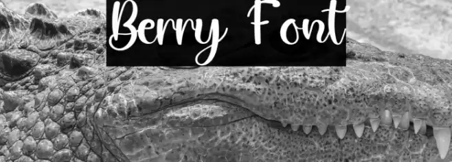 Berry Шрифта examples