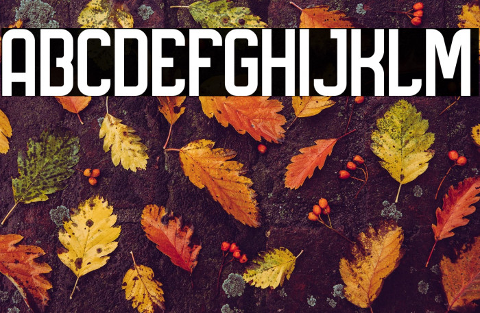 Berryl Sans DEMO font Example 2