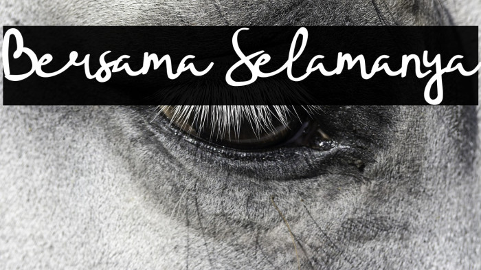 Bersama Selamanya Example 1