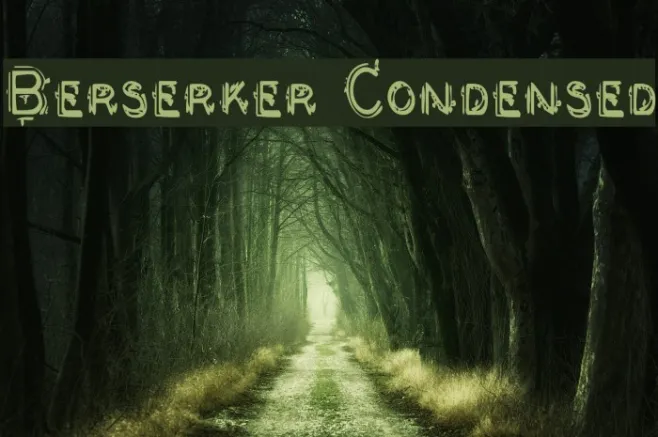 Berserker Condensed Example 1