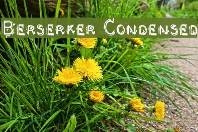 Berserker Condensed Example 2