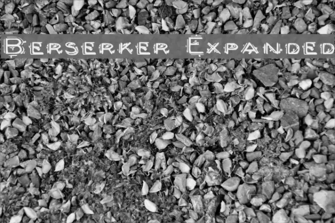 Berserker Expanded Font examples