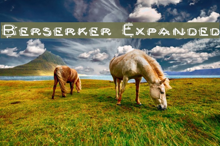 Berserker Expanded Example 3