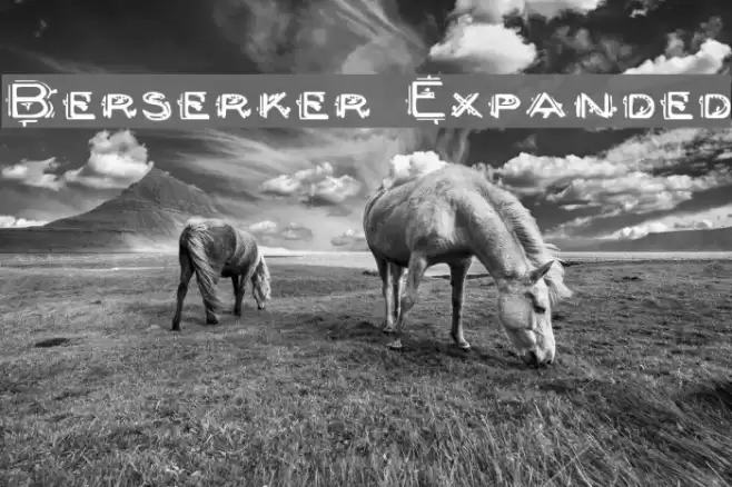 Berserker Expanded Font examples